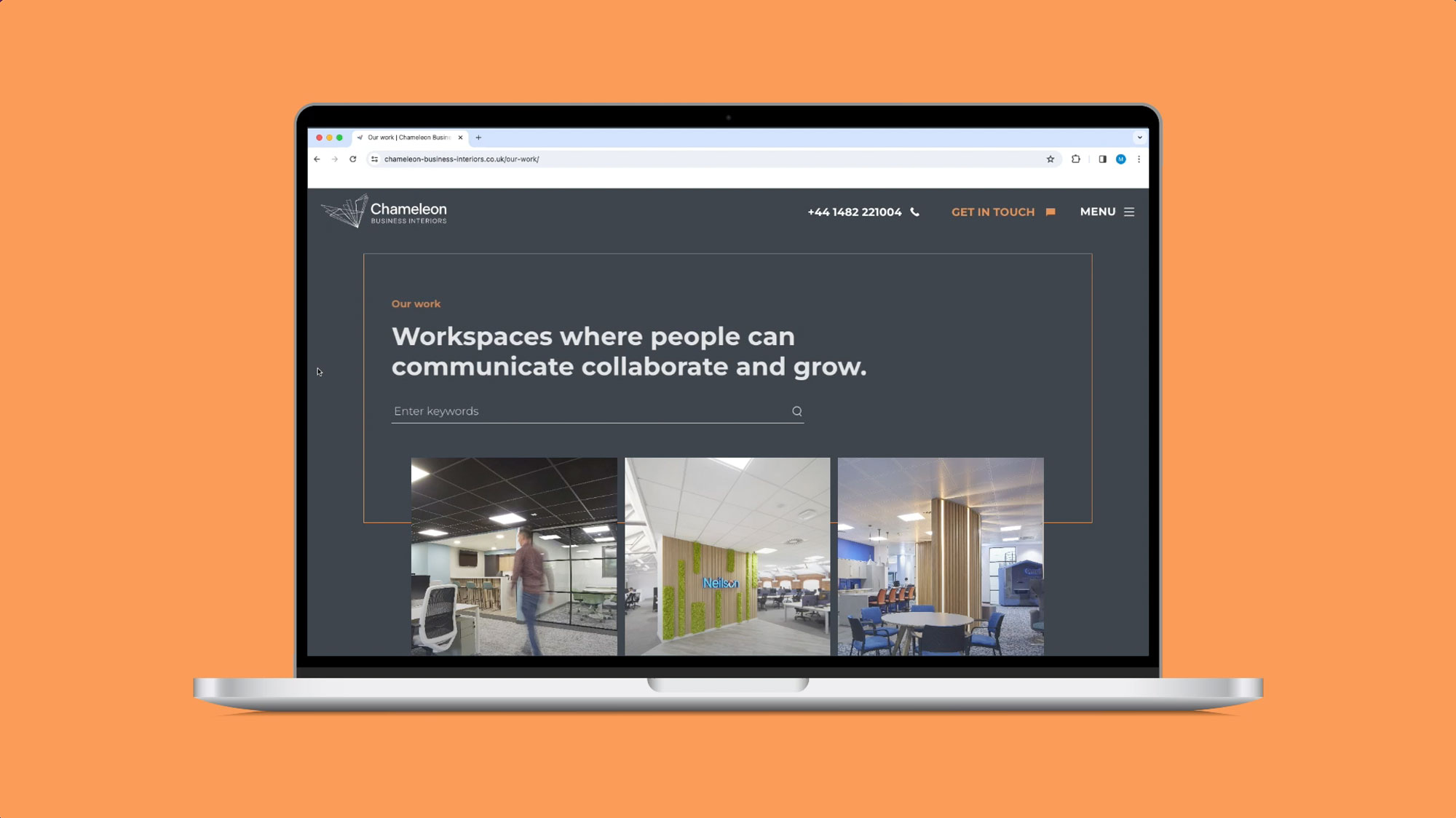 Chameleon website display