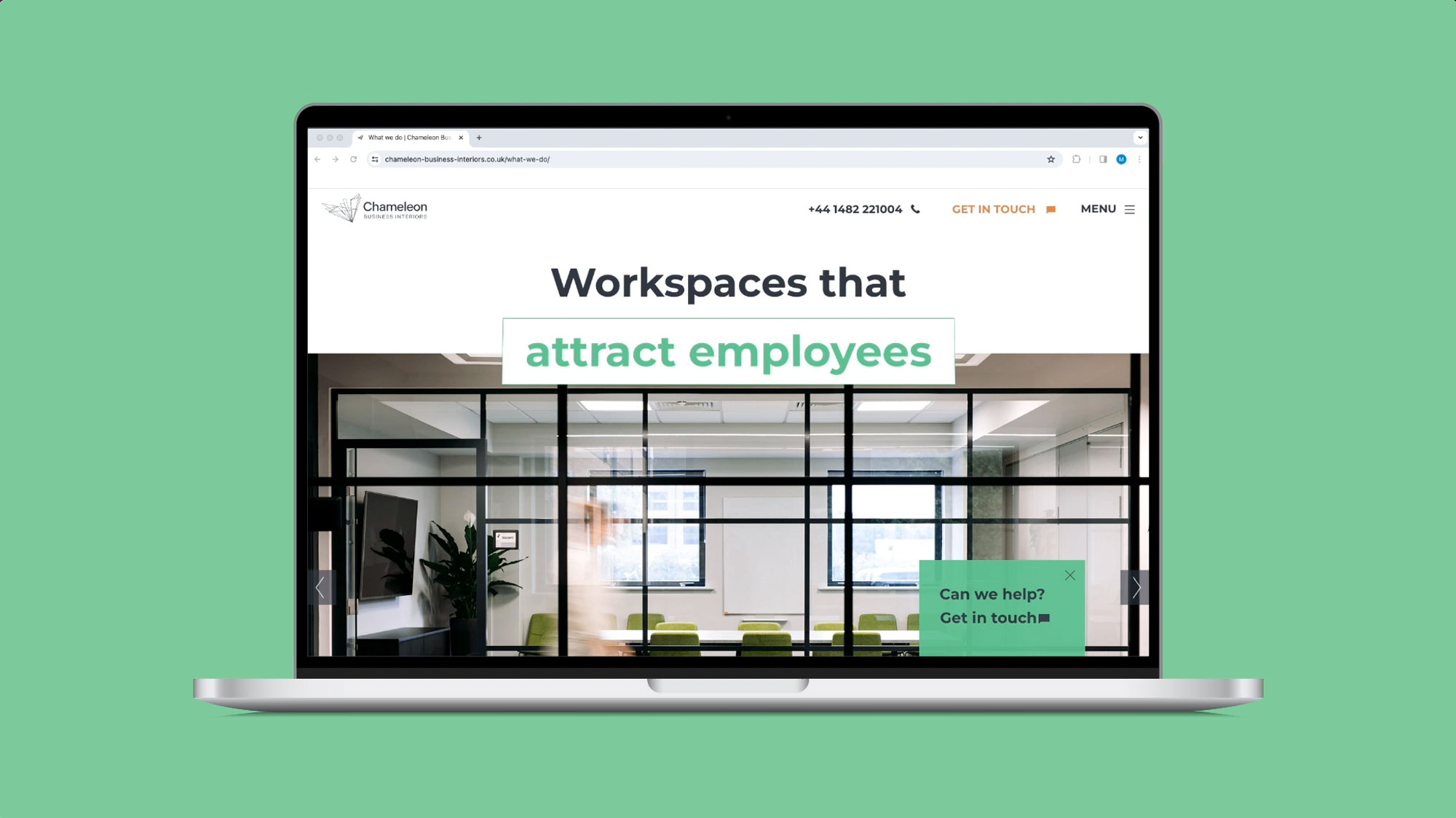 Chameleon website display